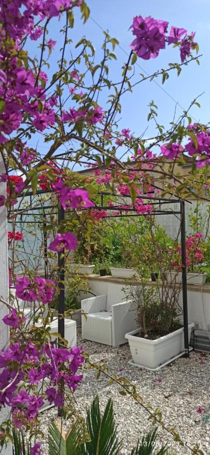 La Villa Degli Dei - Guest House Castellammare di Stabia Exterior foto
